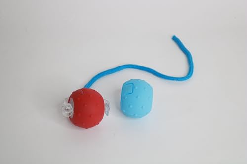 PETTEC Toy Interactive Ball (Blau, 1 Ball) von PetTec