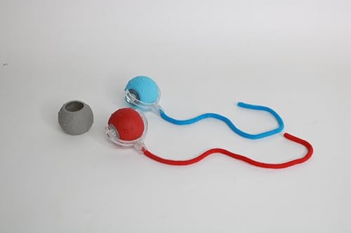 PETTEC Toy Interactive Ball (Rot und blau, 2 Bälle) von PetTec