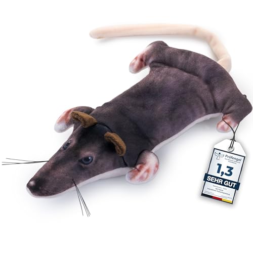 PetTec® Interaktives Katzenspielzeug Elektrisch zur Selbstbeschäftigung - Bewegliche Ratte Maus mit Katzenminze - Interactive Cat Toy - Automatisches Katzenspielzeug - Katzen Spielsachen Spielzeug von PetTec