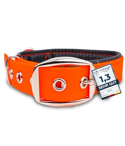 PetTec Halsband für große & kleine Hunde aus Trioflex™ | wetterfest & verstellbar in Farbe | Hundehalsband in Rot, Braun, Schwarz & Leuchtend Orange von PetTec