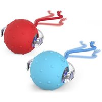 PetTec Interactive Toy Ball 2 von PetTec