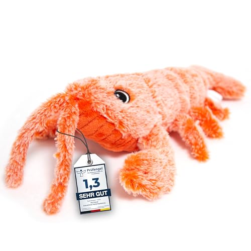 PetTec® Interaktives Katzenspielzeug Elektrisch zur Selbstbeschäftigung - Beweglicher Hummer mit Katzenminze - Interactive Cat Toy - Automatisches Katzenspielzeug - Katzen Spielsachen Spielzeug PetTec® Interaktives Katzenspielzeug Elektrisch zur Selbstbeschäftigung - Beweglicher Hummer mit Katzenminze - Interactive Cat Toy - Automatisches Katzenspielzeug - Katzen Spielsachen Spielzeug von PetTec