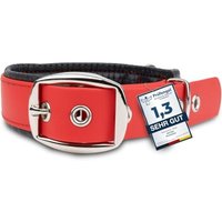 PetTec veganes Hundehalsband rot L PetTec veganes Hundehalsband rot L von PetTec