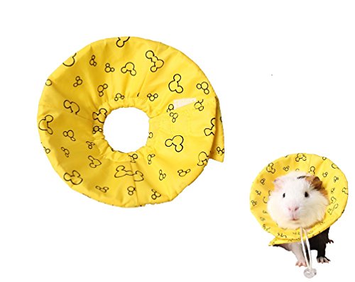 Halsband für Hamster, Kaninchen, Kegelhals, Genesungshalsband für Kleintiere, Haustiere, Elizabethan, gegen Wasser, Beißen, Risistant für Meerschweinchen, Mäuse, Ratten, Frettchen, Squurrel (S, Gelb) Halsband für Hamster, Kaninchen, Kegelhals, Genesungshalsband für Kleintiere, Haustiere, Elizabethan, gegen Wasser, Beißen, Risistant für Meerschweinchen, Mäuse, Ratten, Frettchen, Squurrel (S, Gelb) von Petall