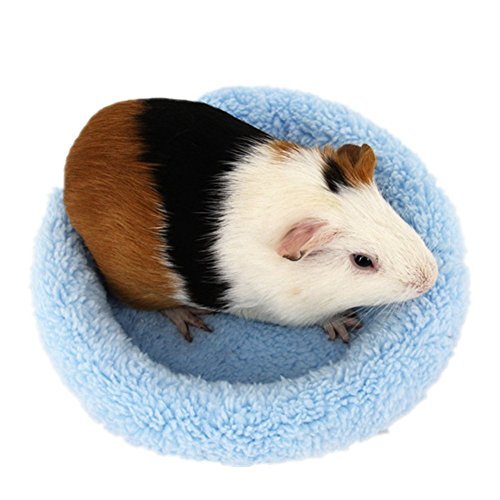 petall Hamsterbett, weich, warmes Kissen für Kleintiere, warme Haus-Schlafmatte für Hamster/Meerschweinchen/Igel/Eichhörnchen/Mäuse/Ratten/Chinchilla (Samll, Blau) von Petall