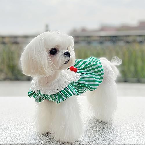 Petalum Halloween Kostüm Haustier Kleidung Weihnachten Welpen Katze Kleidung Outfits Petalum Halloween Kostüm Haustier Kleidung Weihnachten Welpen Katze Kleidung Outfits von Petalum