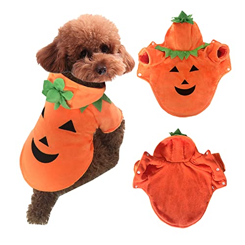 Petalum Halloween-Kostüm für Hunde, Party-Kostüm, Haustier, Mantel mit Kapuze, lustig, Kürbis-Kostüm, niedliches Outfit auf zwei Pfoten, für Welpen, Chihuahua von Petalum