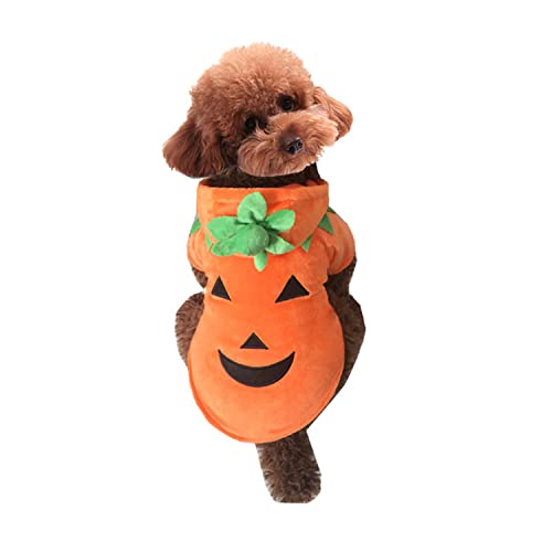Petalum Hallowenn Hundemantel Kostüm Kürbis Hundepullover Cosplay Plüsch Hoodie Druckknopf für Hunde und Katze Orange M von Petalum