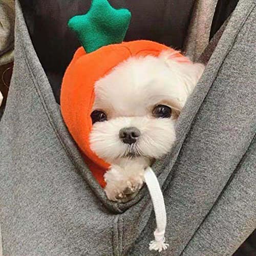 Petalum Hundemantel Hund Hoodie Warm Hundepulli Haustier Kapuzenpullis für Kleine Mittelgroße Hunde warm Hundebekleidung Karotte M Petalum Hundemantel Hund Hoodie Warm Hundepulli Haustier Kapuzenpullis für Kleine Mittelgroße Hunde warm Hundebekleidung Karotte M von Petalum