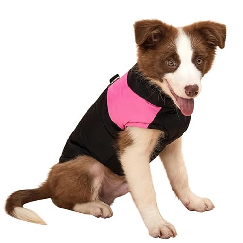 Petalum Hundemantel Hundejacke Winterweste Bekleidung für Hund Katze Wasserdicht Winddichte Haustier Wintermantel Hündchen Hundekleidung Coat von Petalum