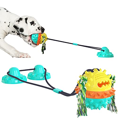Petalum Hundespielzeug mit Saugnapf, multifunktional, Kauball mit Futterverteilung, interaktives Spielzeug, Molarkugel, Zahnreinigung für Welpen (Türkis) von Petalum