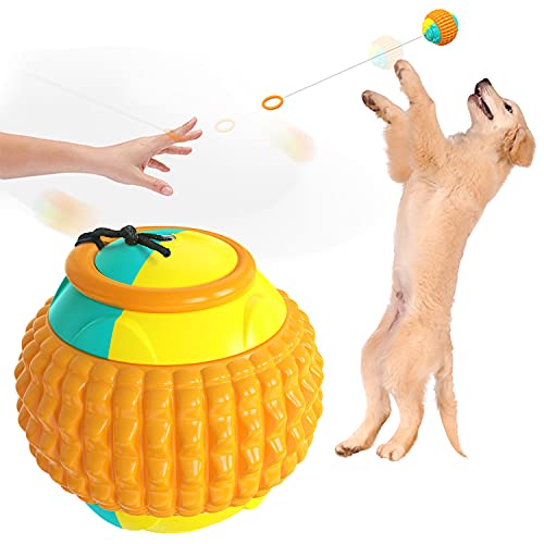 Petalum Interaktives Kauspielzeug für Hunde, Wurfball, Kugel, Backenzähne, Reinigung, Wurfball, ausziehbar, Teleskopschnur mit Ring (orange-gelb) von Petalum