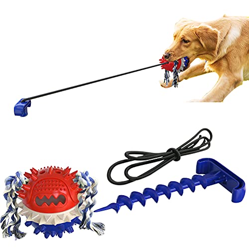 Petalum Interaktives Kauspielzeug für Hunde, mit Saugnapf, Molar, quietschend, multifunktional, elastisches Seil, Welpen, Zahnball, Haustiere (blau) von Petalum