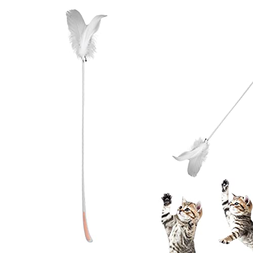 Petalum Katzenspielzeug Feder Kratzspielzeug Katzenangel Katzenfederspielzeug Zauberstab mit Feder Glocken Interaktives Spielzeug Petalum Katzenspielzeug Feder Kratzspielzeug Katzenangel Katzenfederspielzeug Zauberstab mit Feder Glocken Interaktives Spielzeug von Petalum