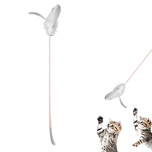 Petalum Katzenspielzeug Feder Kratzspielzeug Katzenangel Katzenfederspielzeug Zauberstab mit Feder Glocken Interaktives Spielzeug Petalum Katzenspielzeug Feder Kratzspielzeug Katzenangel Katzenfederspielzeug Zauberstab mit Feder Glocken Interaktives Spielzeug von Petalum