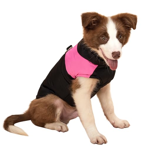 Petalum Regenjacke für Hunde, klein, mittel, groß, lässig, gesteppt, ärmellos, wasserdicht, mit Geschirr für Haustiere von Petalum