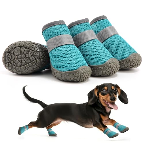 Petanims Kleine Hundeschuhe, atmungsaktive Welpenstiefel und Pfotenschutz für den Winter, Schnee, Sommer, heißer Gehweg, Hundeschuhe mit rutschfester Gummisohle für Hartholzböden, Seeblau, Größe 5 von Petanims