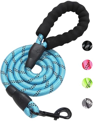 PETANK Hundeleine aus Seil, 1,2 m, mit bequemem, gepolstertem Griff und stark reflektierenden Fäden, für kleine und mittelgroße Hunde, Blau, 1,2 m x 7,6 cm PETANK Hundeleine aus Seil, 1,2 m, mit bequemem, gepolstertem Griff und stark reflektierenden Fäden, für kleine und mittelgroße Hunde, Blau, 1,2 m x 7,6 cm von Petank