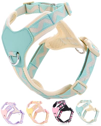 Petank Pink xs Hundegeschirr für kleine Hunde, kein Ziehen, Hundegeschirr mit 2 Leinenclips, leicht zu gehen, Hundegeschirr für kleine Hunde, Welpengeschirr für kleine Hunde, verstellbares Petank Pink xs Hundegeschirr für kleine Hunde, kein Ziehen, Hundegeschirr mit 2 Leinenclips, leicht zu gehen, Hundegeschirr für kleine Hunde, Welpengeschirr für kleine Hunde, verstellbares von Petank