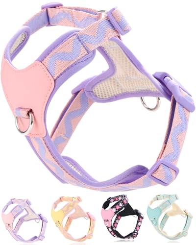 Petank Pink xs Hundegeschirr für kleine Hunde, kein Ziehen, Hundegeschirr mit 2 Leinenclips, leicht zu gehen, Hundegeschirr für kleine Hunde, Welpengeschirr für kleine Hunde, verstellbares Petank Pink xs Hundegeschirr für kleine Hunde, kein Ziehen, Hundegeschirr mit 2 Leinenclips, leicht zu gehen, Hundegeschirr für kleine Hunde, Welpengeschirr für kleine Hunde, verstellbares von Petank