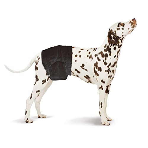 Petastic Einweg-Hundewindeln für Rüden, Größe S-M für Taille von 30-46 cm, 12 Stück von Petastic