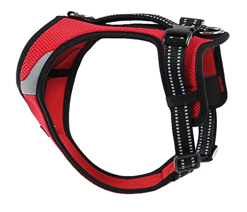 Petastic Hundegeschirr mit Halsverschluss reflektierend Schnalle im Halsbereich aus Mesh XL rot von Petastic