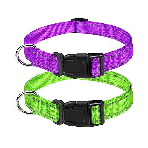 Petbuy 2xreflektierende Nylon-Hundehalsbänder, mit Schnellverschluss-Schnalle, verstellbare Sicherheits-Nylon-Halsbänder für kleine, Partygrün, Violett) von Petbuy