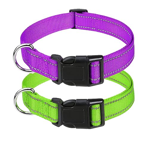 Petbuy 2xreflektierende Nylon-Hundehalsbänder, mit Schnellverschluss-Schnalle, verstellbare Sicherheits-Nylon-Halsbänder für kleine,61 cm, Partygrün Lila) von Petbuy