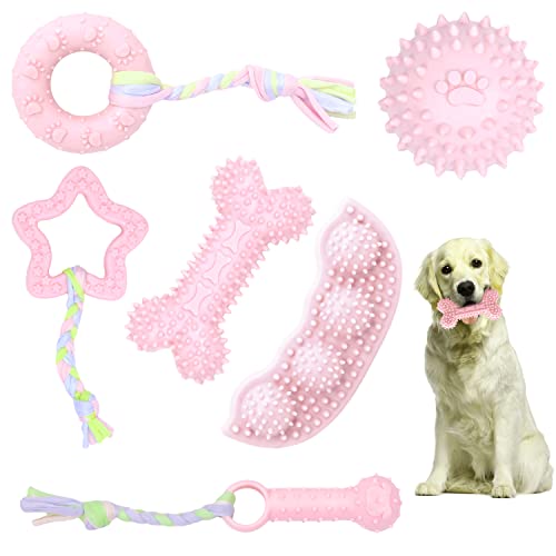 Petbuy 6 Stück Hundewelpen-Kauspielzeug zum Zahnen, kleine Hunde, lustige Reinigung, quietschendes, interaktives Hundespielzeug, lustiger Knochenball, Tauziehspielzeug für kleine mittelgroße Rassen von Petbuy