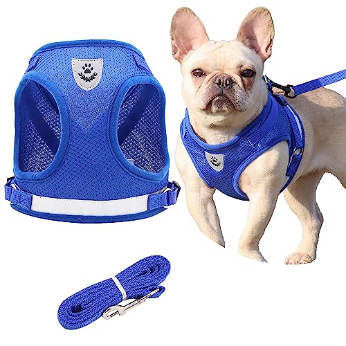 Step in Dog Harness and Leash Set, No Chock, No Pull, Soft Mesh Vest Dog Harnesses with Reflective Adjustable Breathable Padded Puppy Harnesses for Small and Small Dogs and Cats (Blau, Small) von Petbuy