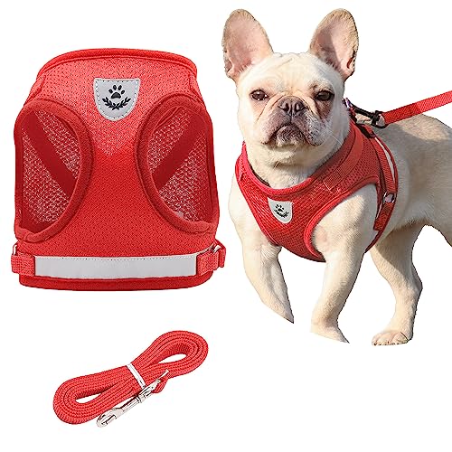 Step in Dog Harness and Leash Set, No Chock, No Pull, Soft Mesh Vest Dog Harnesses with Reflective Adjustable Breathable Padded Puppy Harnesses for Small and Small Dogs and Cats (Red, Small) von Petbuy
