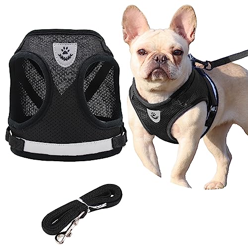 Step in Dog Harness and Leash Set, No Chock, No Pull, Soft Mesh Vest Dog Harnesses with Reflective Adjustable Breathable Padded Puppy Harnesses for Small and Small Dogs and Cats (Schwarz, Small) von Petbuy
