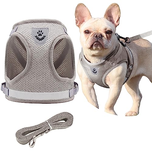 Step in Dog Harness and Leash Set, No Chock No Pull Soft Mesh Vest Dog Harnesses with Reflective Adjustable Breathable Padded Puppy Harnesses for Small and Small Dogs and Cats (Gray, Large) von Petbuy