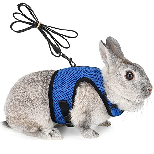 Verstellbares Weiches Katzengeschirr Kaninchen Geschirr mit Elastischer Leine für Kleines Tier Kitty Haustier Geschirr und Leine für Häschen Katze Little Pet Walking (L(Brust 28 -35cm), Blau) von HAPPY HACHI