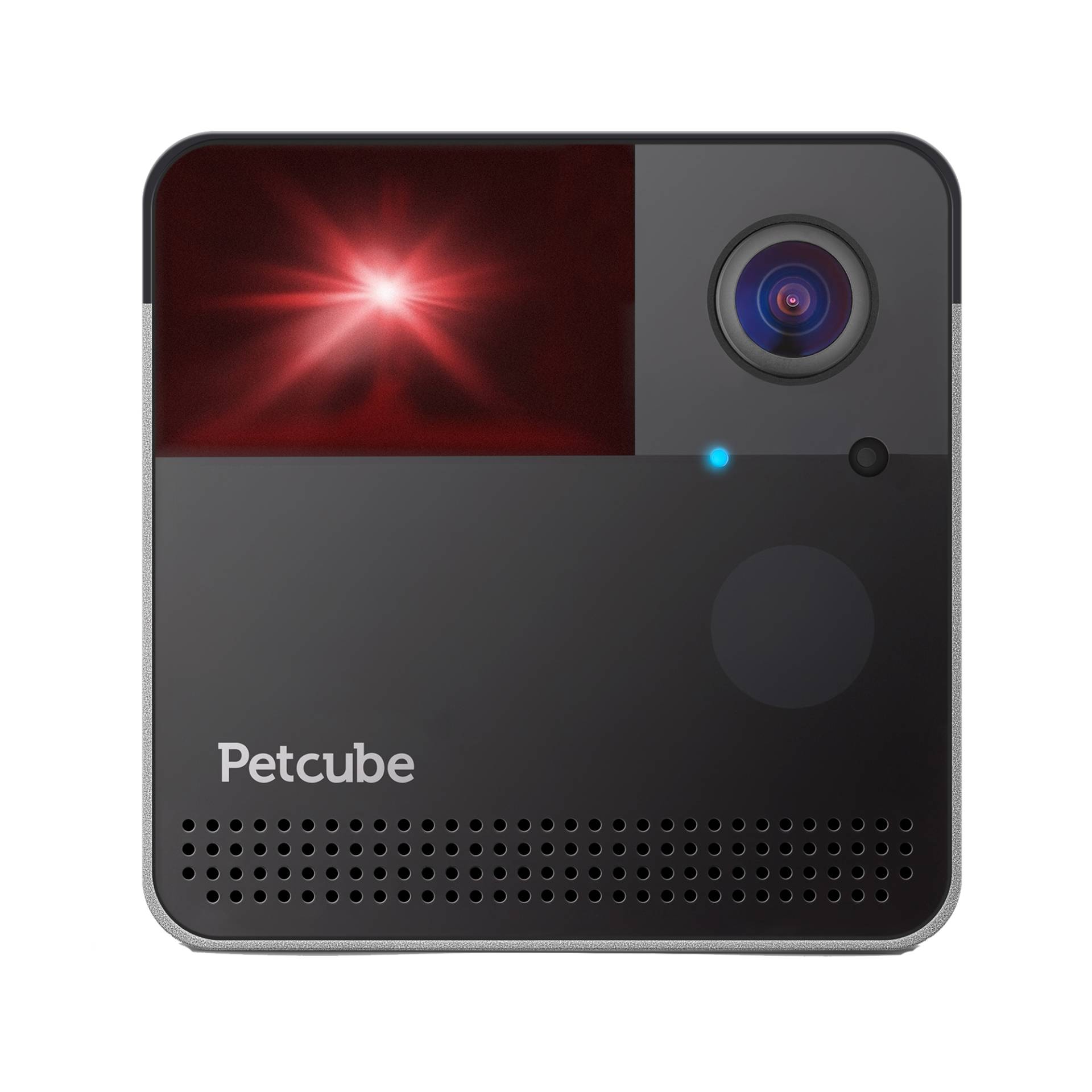 Petcube Play 2 Haustierkamera Petcube Play 2 Haustierkamera von Petcube