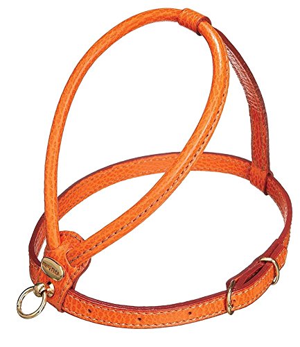 La Cinopelca Hundegeschirr, handgefertigt, Kalbsleder La Cinopelca Hundegeschirr, handgefertigt, Kalbsleder von Petego