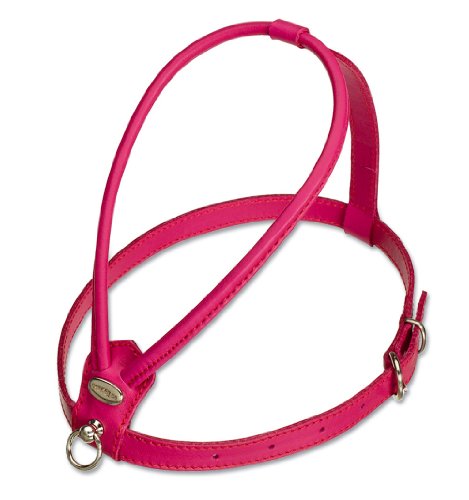 La Cinopelca Hundegeschirr, handgefertigt, Kalbsleder La Cinopelca Hundegeschirr, handgefertigt, Kalbsleder von Petego