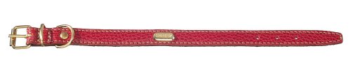 La Cinopelca Hundehalsband, Kalbsleder, flach, gepolstert La Cinopelca Hundehalsband, Kalbsleder, flach, gepolstert von Petego