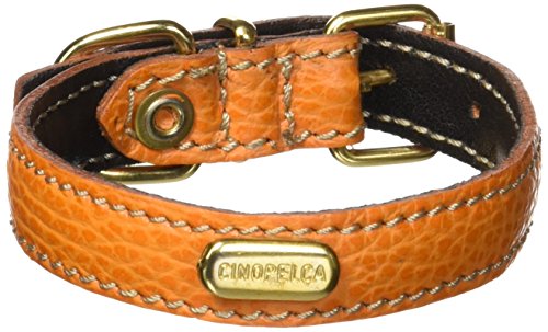 La Cinopelca Hundehalsband, Kalbsleder, flach, gepolstert La Cinopelca Hundehalsband, Kalbsleder, flach, gepolstert von Petego