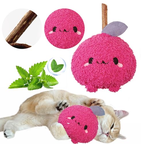Petelligent Langlebiges und interaktives Katzenminze-Spielzeug zum Zahnen, Silvervine Stick Katzenspielzeug: Kaustab, Zähneknirschen und kaubare Katzenpuppe für die Unterhaltung Ihres Haustieres Petelligent Langlebiges und interaktives Katzenminze-Spielzeug zum Zahnen, Silvervine Stick Katzenspielzeug: Kaustab, Zähneknirschen und kaubare Katzenpuppe für die Unterhaltung Ihres Haustieres von Petelligent