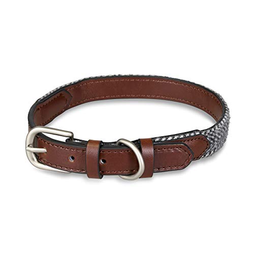 Petface Hundehalsband, Fischgrätenmuster, Leder, Größe S Petface Hundehalsband, Fischgrätenmuster, Leder, Größe S von Petface