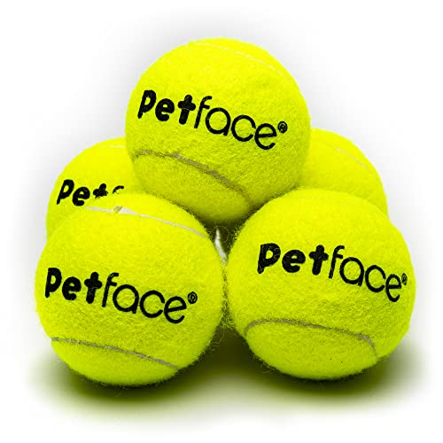 Petface Mini-Super-Tennisbälle für Hunde, 4,8 cm, 5 Stück von Petface