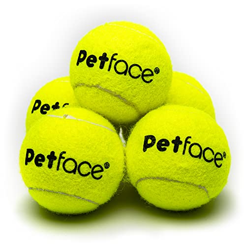 Petface Mini-Super-Tennisbälle für Hunde, 4,8 cm, 5 Stück Petface Mini-Super-Tennisbälle für Hunde, 4,8 cm, 5 Stück von Petface