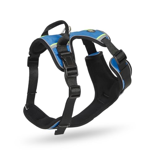 Petface Outdoor Paws Adventure Hundegeschirr, Blau, Größe L, 1 Stück Petface Outdoor Paws Adventure Hundegeschirr, Blau, Größe L, 1 Stück von Petface