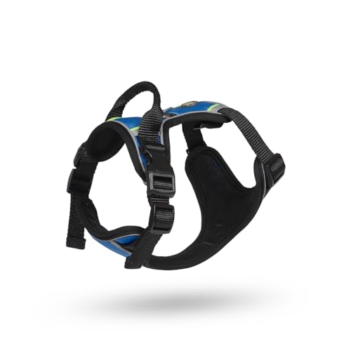 Petface Outdoor Paws Adventure Hundegeschirr, Blau, Größe M, 1 Stück Petface Outdoor Paws Adventure Hundegeschirr, Blau, Größe M, 1 Stück von Petface