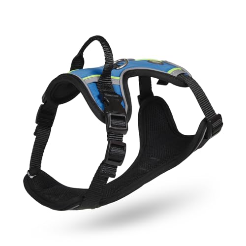 Petface Outdoor Paws Adventure Hundegeschirr, Blau, Größe S (1 Stück) Petface Outdoor Paws Adventure Hundegeschirr, Blau, Größe S (1 Stück) von Petface