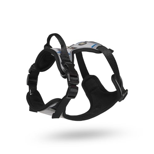 Petface Outdoor Paws Adventure Hundegeschirr, Silber/Grau, Größe M, 1 Stück Petface Outdoor Paws Adventure Hundegeschirr, Silber/Grau, Größe M, 1 Stück von Petface