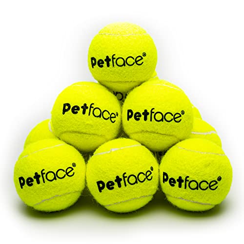 Petface Tennisbälle, 12er Pack von Petface