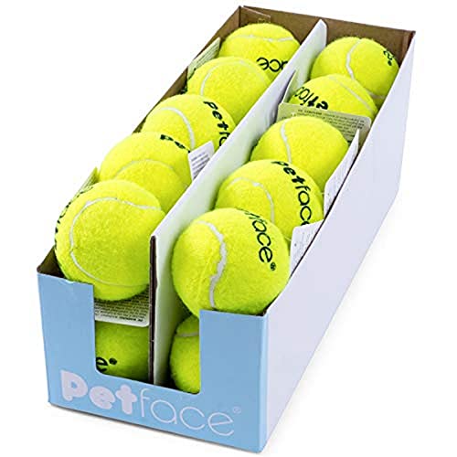 Petface Tennisbälle, Werfen und Apportieren, Hundespielzeug, 6,5 cm (1 Packung mit 20 Bällen) von Petface