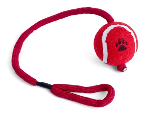 Petface Tennisball auf einem Seil, Hundespielzeug von Petface